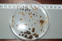 sample D