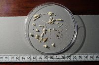 spraint sample 45