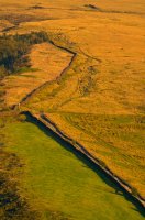 Track above Barnsfold Farm