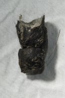 sample B