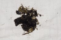 spraint sample 119