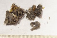 sample C