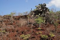 Rabida landscape