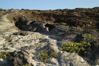 Lava tunnel