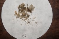 spraint sample 137