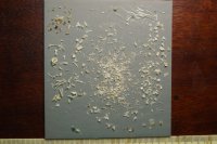 spraint sample 3