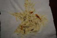spraint sample 45